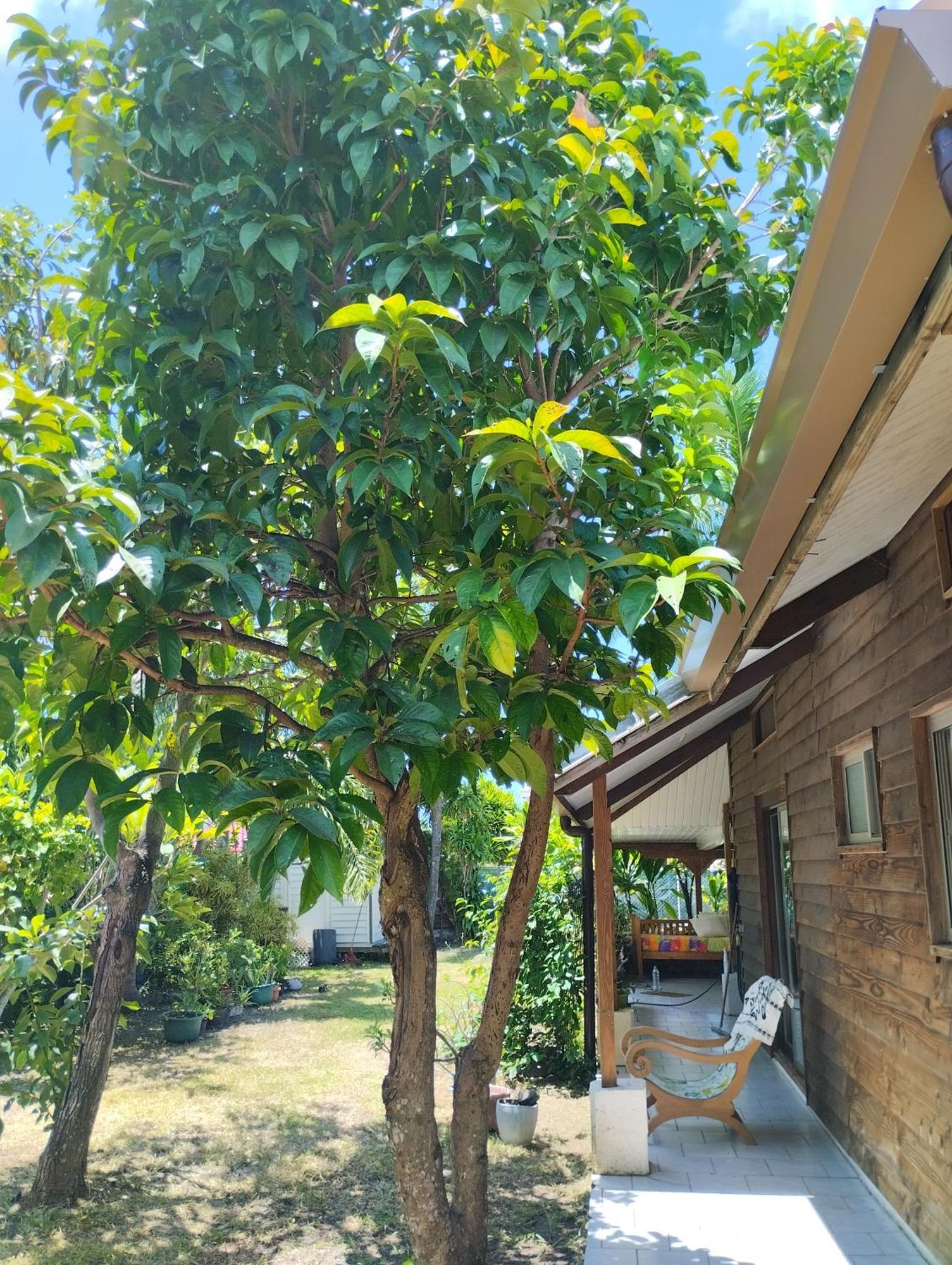 Temae Tema'E Beach House מראה חיצוני תמונה